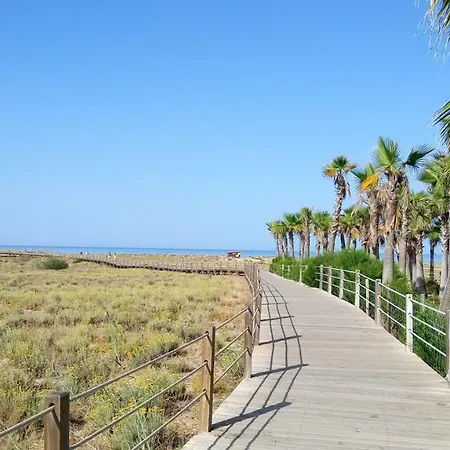 Salgados 6a * אלבופיירה