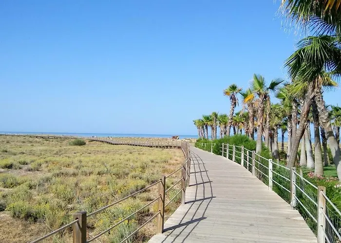 Salgados 6a * 阿尔布费拉